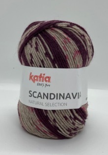 Katia Scandinavia Farbe 200
